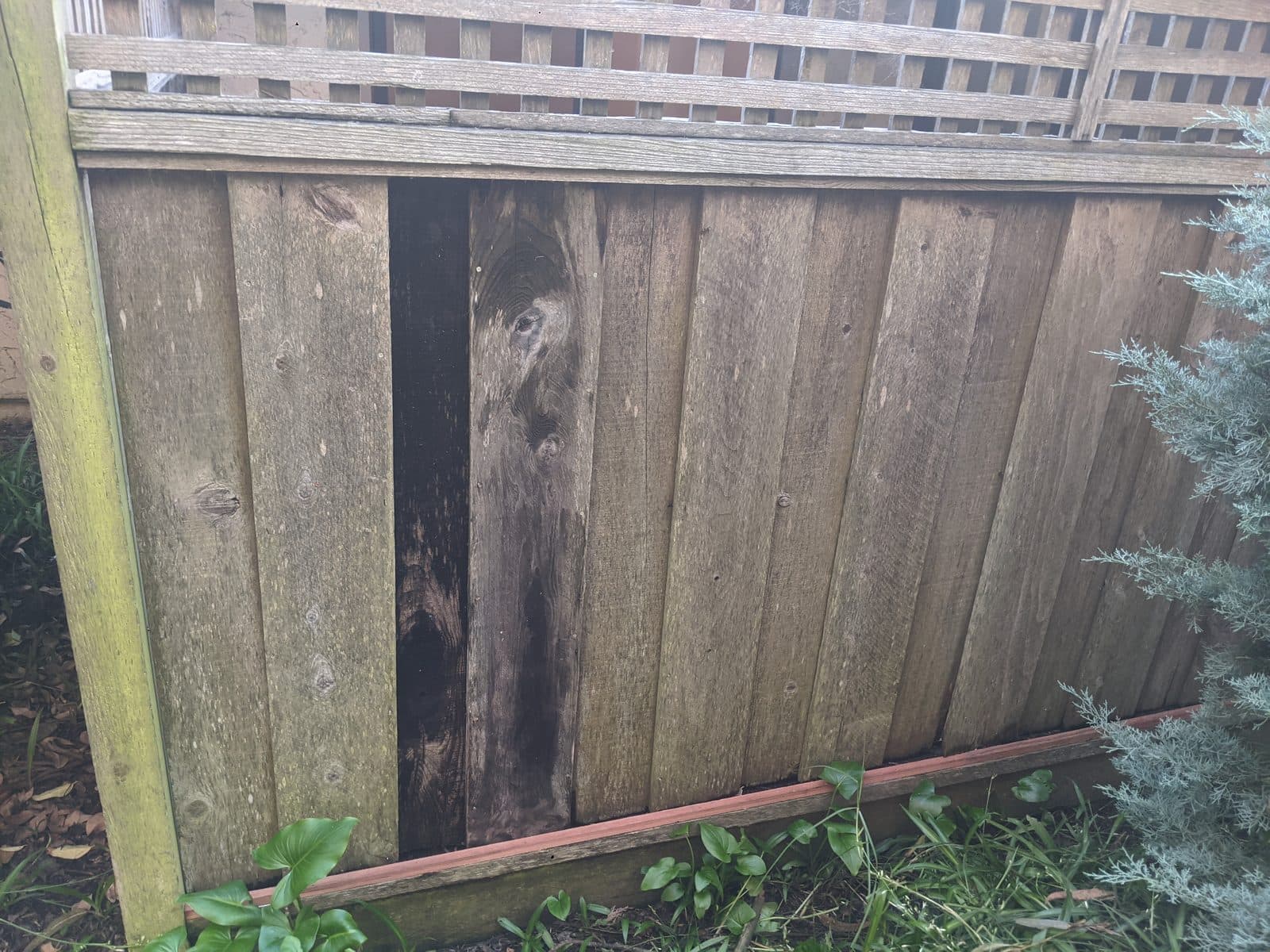 Fence Repair